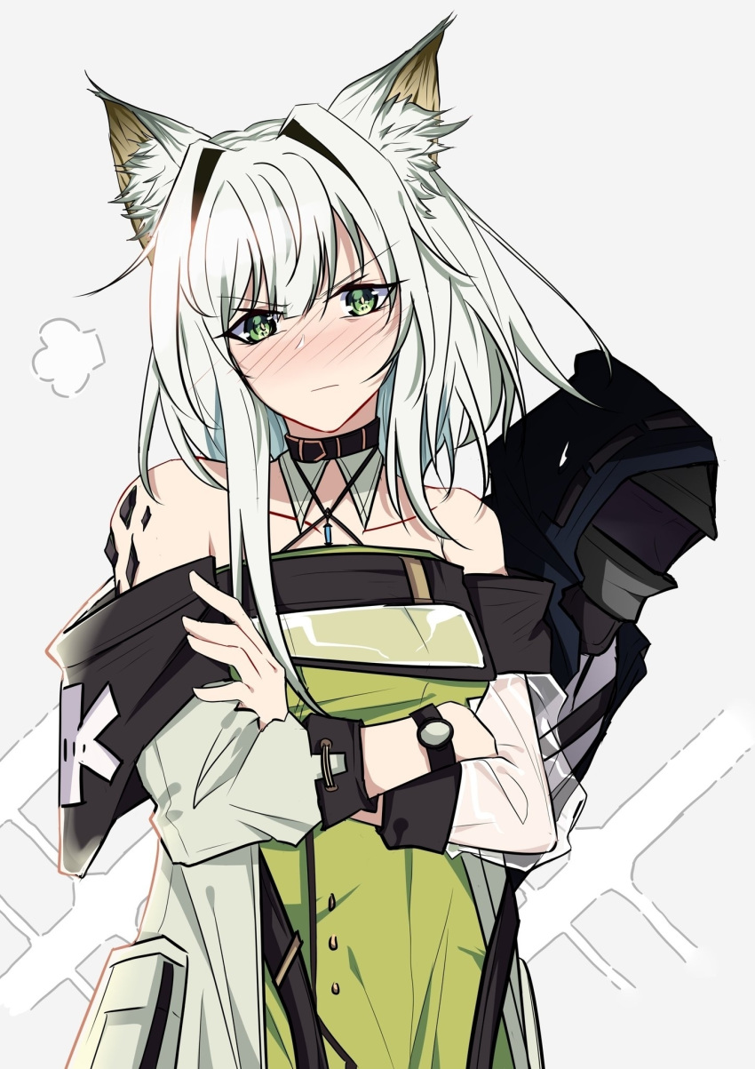 1boy 1girl animal_ear_fluff animal_ears arknights bangs bare_shoulders blush can't_be_this_cute cat_ears choker coat commentary crossed_arms detached_collar doctor_(arknights) dress english_commentary eyebrows_visible_through_hair green_dress green_eyes grey_background highres kal'tsit_(arknights) ore_lesion_(arknights) ore_no_imouto_ga_konna_ni_kawaii_wake_ga_nai pokarii_zuu short_hair silver_hair watch watch white_coat