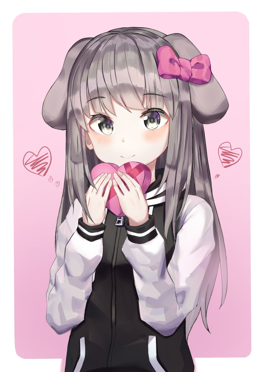 1girl animal_ears bangs black_jacket blush bow box closed_mouth commentary dog_ears english_commentary eyebrows_visible_through_hair gift gift_box grey_eyes grey_hair hair_bow hands_up heart-shaped_box highres holding holding_gift hwanhee jacket long_hair long_sleeves original pink_background pink_bow sleeves_past_wrists smile solo two-tone_background valentine very_long_hair white_background