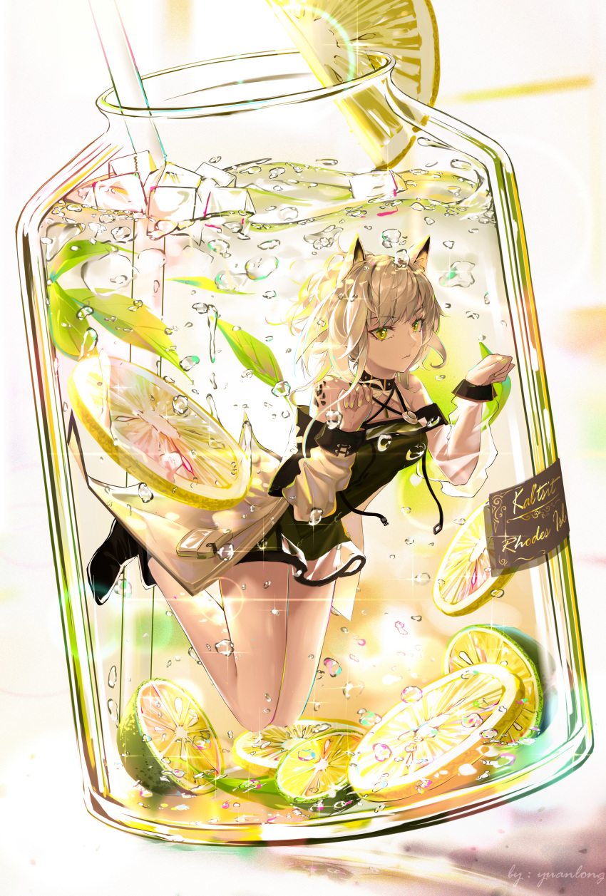 1girl absurdres animal_ears arknights bare_shoulders cat_ears choker floating food fruit full_body glass_container green_eyes grey_hair highres huge_filesize in_container kal'tsit_(arknights) lime_(fruit) looking_at_viewer yuan_long