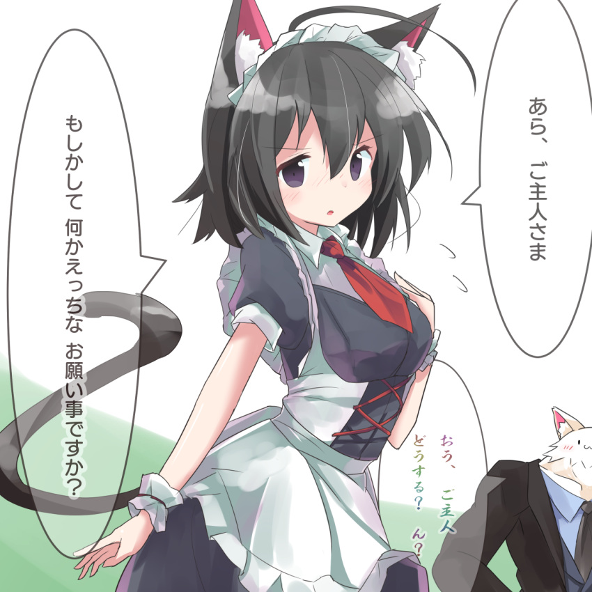 1girl :o animal animal_ear_fluff animal_ears apron bangs black_dress black_hair black_jacket black_neckwear black_vest blue_shirt blush cat_ears cat_girl cat_tail clothed_animal collared_shirt commentary_request dress eyebrows_visible_through_hair flying_sweatdrops formal frilled_apron frills green_background hair_between_eyes highres jacket maid maid_headdress necktie nose_blush open_clothes open_jacket original parted_lips puffy_short_sleeves puffy_sleeves red_neckwear revision ryogo shirt short_necktie short_sleeves solo_focus suit tail translation_request two-tone_background vest violet_eyes white_apron white_background