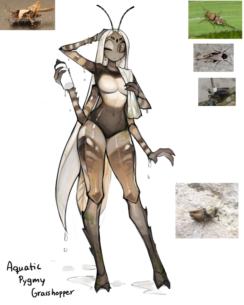 1girl absurdres antennae bottle breasts bug commentary english_commentary english_text extra_arms full_body grasshopper highres holding holding_bottle insect insect_girl insect_wings looking_at_viewer matilda_fiship medium_breasts monster_girl navel one_eye_closed original photo-referenced reference_photo_inset simple_background slit_pupils solo towel towel_on_one_shoulder water_drop wet white_background wings