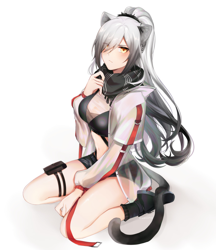 1girl absurdres animal_ears arknights artist_name bangs bare_legs black_footwear black_scarf black_shorts blush breasts cat_ears cat_tail commentary crop_top eyebrows_visible_through_hair hair_between_eyes hand_up highres icepop jacket long_hair long_ponytail long_sleeves looking_at_viewer medium_breasts midriff navel ponytail pouch scarf schwarz_(arknights) seiza shoes short_shorts shorts silver_hair simple_background sitting solo stomach tail thigh_strap thighs twitter_username very_long_hair white_background white_jacket yellow_eyes