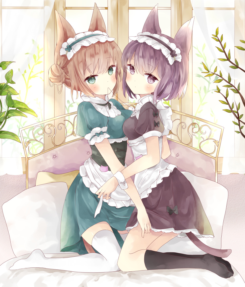 2girls absurdres animal_ears apron bangs black_bow black_legwear blush bow breast_press breasts brown_eyes cat_ears cat_girl cat_tail closed_mouth day double_bun dress eyebrows_visible_through_hair frilled_apron frills green_dress green_eyes hair_between_eyes highres indoors kneehighs looking_at_viewer medium_breasts mouth_hold multiple_girls no_shoes original pillow puffy_short_sleeves puffy_sleeves purple_dress purple_hair short_sleeves soles sunlight symmetrical_docking tail thigh-highs tsukiyo_(skymint) violet_eyes waist_apron white_apron white_legwear window wrist_cuffs yuri