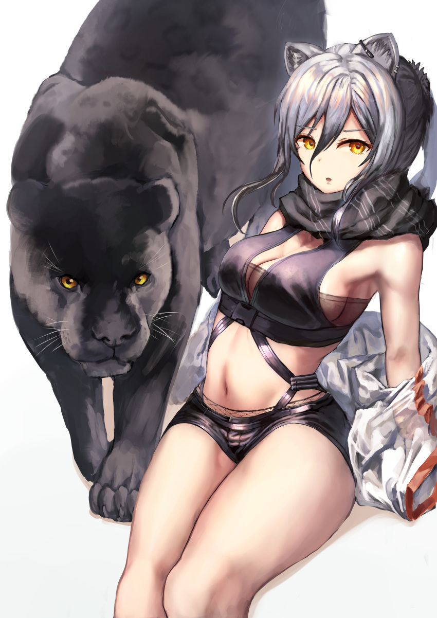 1girl absurdres animal animal_ear_fluff animal_ears arknights bangs bare_shoulders black_scarf black_shorts breasts cat_ears commentary crop_top hair_between_eyes highres huge_filesize long_hair looking_at_viewer medium_breasts midriff navel panther parted_lips scarf schwarz_(arknights) short_shorts shorts silver_hair simple_background sitting stomach taku57 thighs white_background yellow_eyes