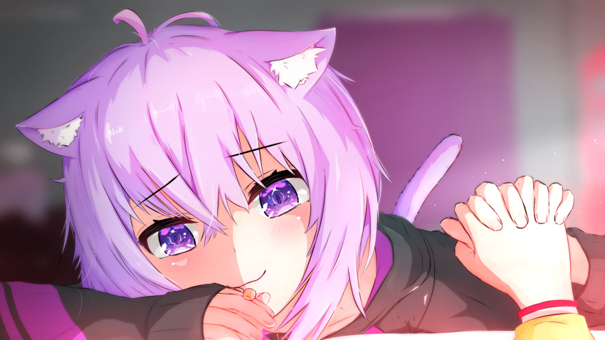 2girls :3 ahoge animal_ear_fluff animal_ears bangs bedroom black_hoodie blush cat_ears cat_girl cat_tail collar couple eyebrows_visible_through_hair highres holding_hands hololive hood hoodie indoors inugami_korone long_sleeves lying multiple_girls nekomata_okayu pugpuggy purple_hair short_hair smile tail violet_eyes virtual_youtuber yuri