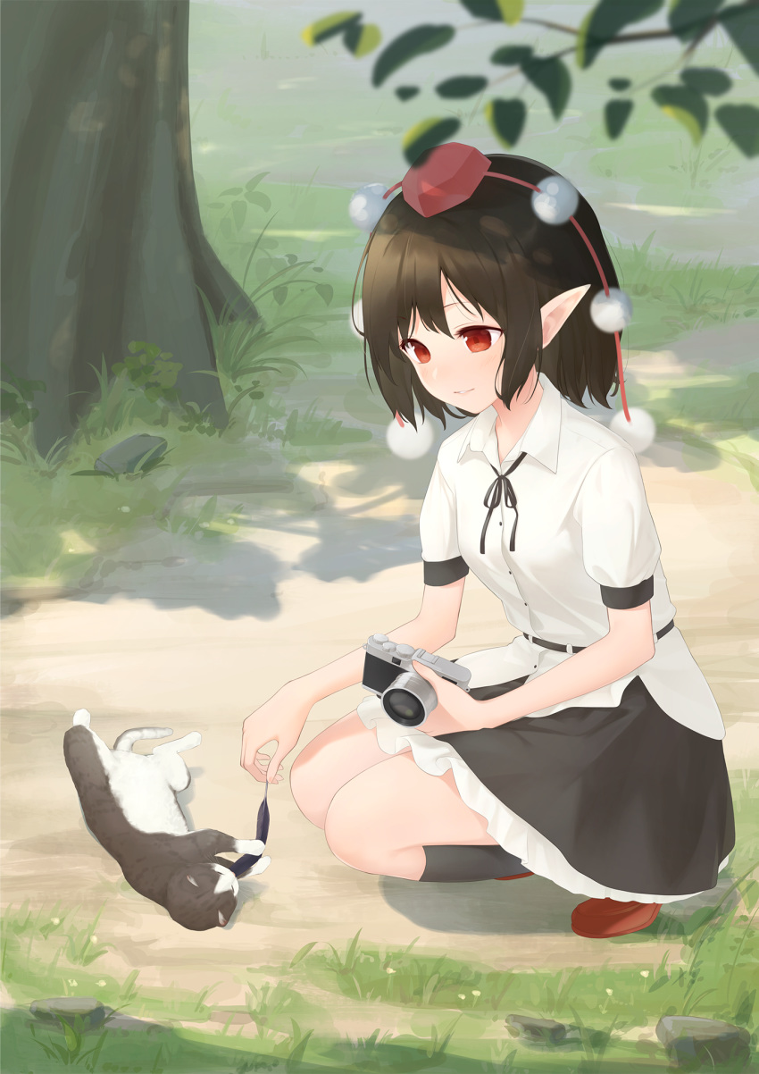 1girl belt black_legwear black_neckwear black_ribbon black_skirt blurry_foreground brown_hair camera cat commentary day grass hat highres holding holding_camera holding_leaf kanpa_(campagne_9) kneehighs leaf looking_down outdoors parted_lips petticoat pointy_ears pom_pom_(clothes) red_eyes red_footwear red_headwear ribbon rock shameimaru_aya shirt short_hair short_sleeves skirt sleeve_cuffs smile solo squatting tokin_hat touhou tree untucked_shirt white_shirt