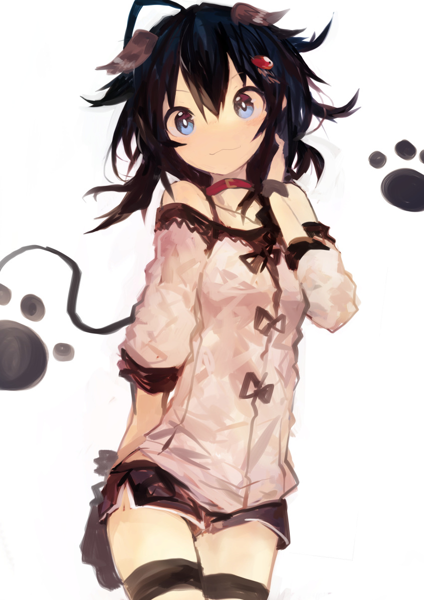 1girl :3 absurdres ahoge animal_ears bangs bare_shoulders black_hair black_shorts blue_eyes collar commentary_request dog_ears hair_between_eyes hair_ornament hand_in_hair highres kaamin_(mariarose753) kantai_collection looking_at_viewer medium_hair paw_print red_collar shigure_(kantai_collection) short_shorts shorts simple_background solo