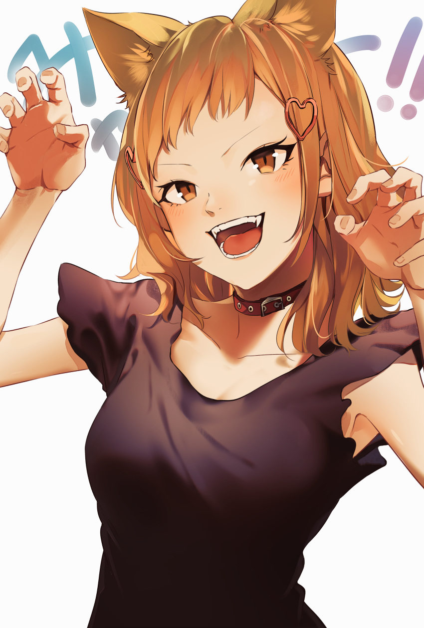 1girl absurdres animal_ears black_shirt blush brown_eyes brown_hair cat_ears claw_pose collar commentary dog_collar fangs hair_ornament hairpin heart heart_hair_ornament highres looking_at_viewer matsunaga777 minami_koharu open_mouth shirt simple_background solo teeth tongue upper_body watashi_ga_motenai_no_wa_dou_kangaetemo_omaera_ga_warui! white_background