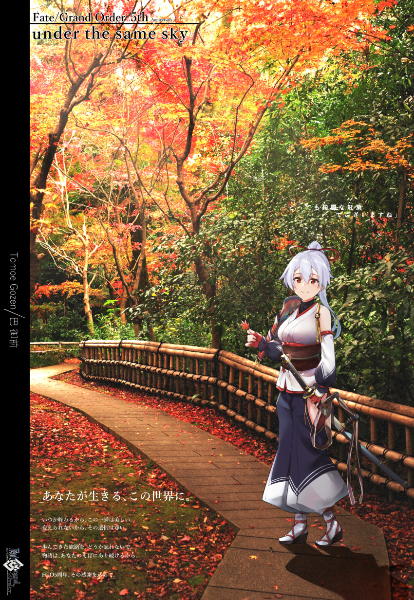 1girl absurdres anniversary armor black_undershirt blue_hakama character_name commentary_request copyright_name detached_sleeves eyebrows_visible_through_hair fate/grand_order fate_(series) fingerless_gloves gloves hair_between_eyes hair_ribbon hakama happy highres hip_vent holding holding_leaf huge_filesize japanese_armor japanese_clothes katana kimono leaf long_hair looking_at_viewer maple_leaf mitsudomoe_(shape) obi photo_background ponytail railing red_eyes red_gloves red_ribbon ribbon sash scabbard sheath shoulder_armor sidewalk silver_hair single_detached_sleeve smile sode solo sword tomoe_(symbol) tomoe_gozen_(fate/grand_order) translation_request tree turtleneck vegetablenabe weapon white_kimono white_sleeves