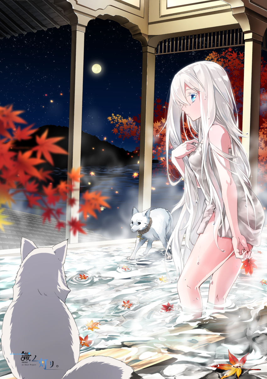 1girl absurdres autumn_leaves bangs blue_eyes copyright_name fox full_moon highres holding holding_leaf leaf long_hair looking_at_viewer looking_back maple_leaf mito_w moon mountain night night_sky ocean onsen partially_submerged rooftop rope shiki_no_akari shimenawa sky solo tomoshibi_no_majo towel tree very_long_hair water wet wet_hair wet_towel white_hair white_towel