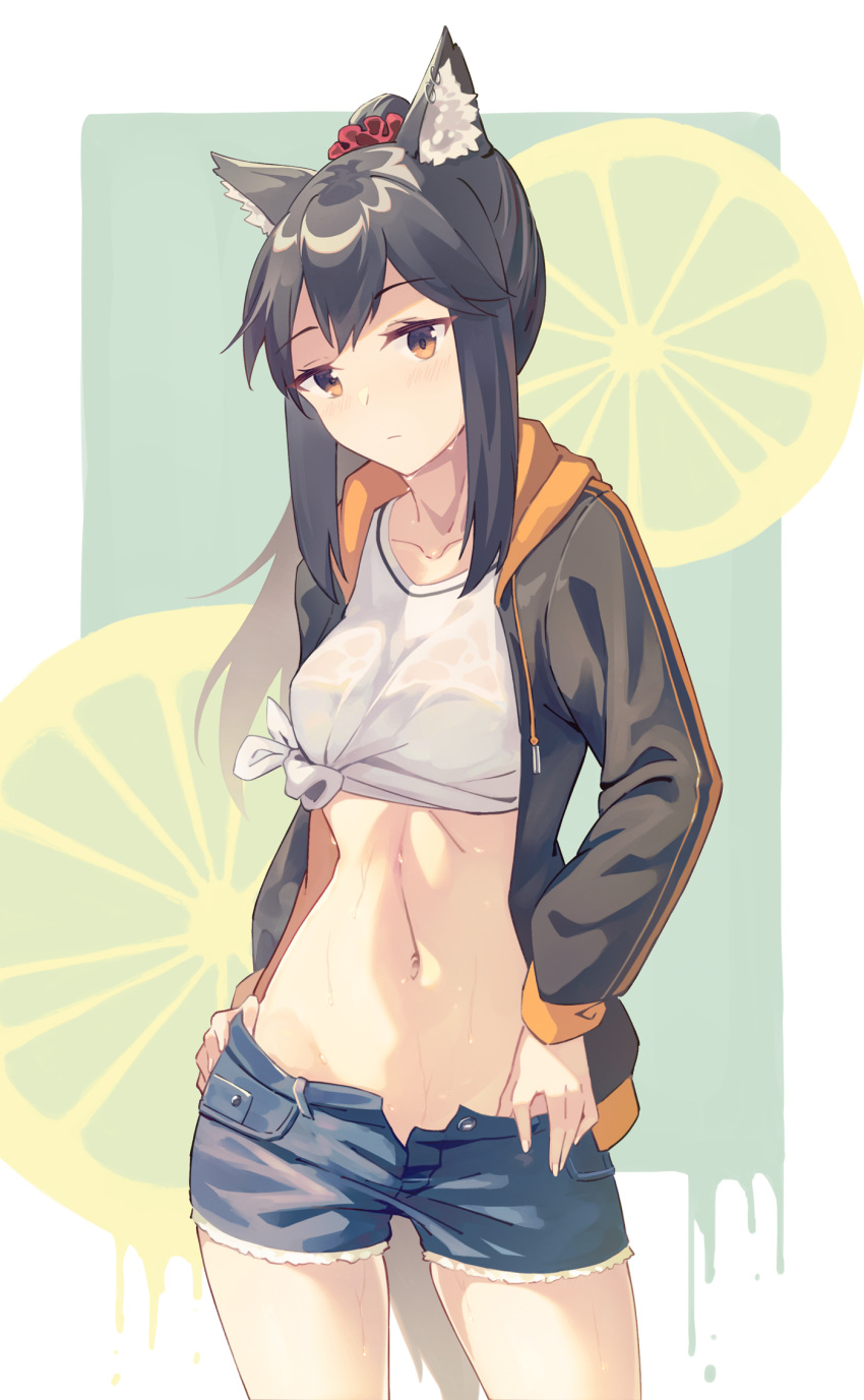 1girl alternate_costume alternate_hairstyle animal_ear_fluff animal_ears arknights bangs black_hair black_jacket breasts brown_eyes cowboy_shot crop_top drawstring eyebrows_visible_through_hair grey_shorts hair_ornament hair_scrunchie highres hood hooded_jacket jacket long_hair long_sleeves looking_at_viewer medium_breasts midriff natsu97 navel open_clothes open_jacket red_scrunchie revision scrunchie shirt short_shorts shorts sidelocks solo standing stomach texas_(arknights) thighs tied_shirt white_shirt wolf_ears