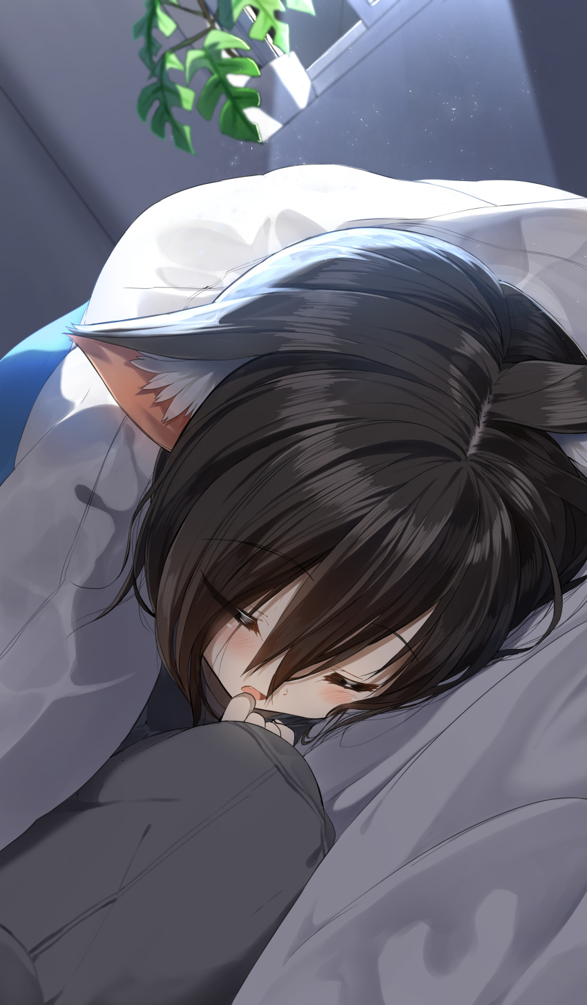 1girl absurdres animal_ear_fluff animal_ears bangs black_hair blush cat_ears closed_eyes commentary_request eyebrows_visible_through_hair fang futon hair_between_eyes hand_up highres indoors lying on_side original parted_lips pentagon_(railgun_ky1206) plant potted_plant sleeping solo under_covers