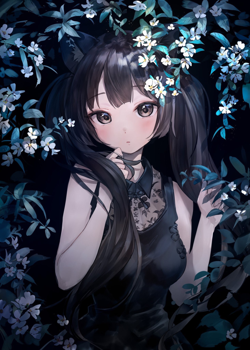 1girl animal_ear_fluff animal_ears bangs black_dress black_hair blush breasts brown_eyes cat_ears cat_girl dress eyebrows_visible_through_hair floating_hair flower hair_twirling highres long_hair looking_at_viewer medium_breasts original parted_lips shiny shiny_hair sleeveless sleeveless_dress solo takeashiro twintails upper_body very_long_hair white_flower wing_collar