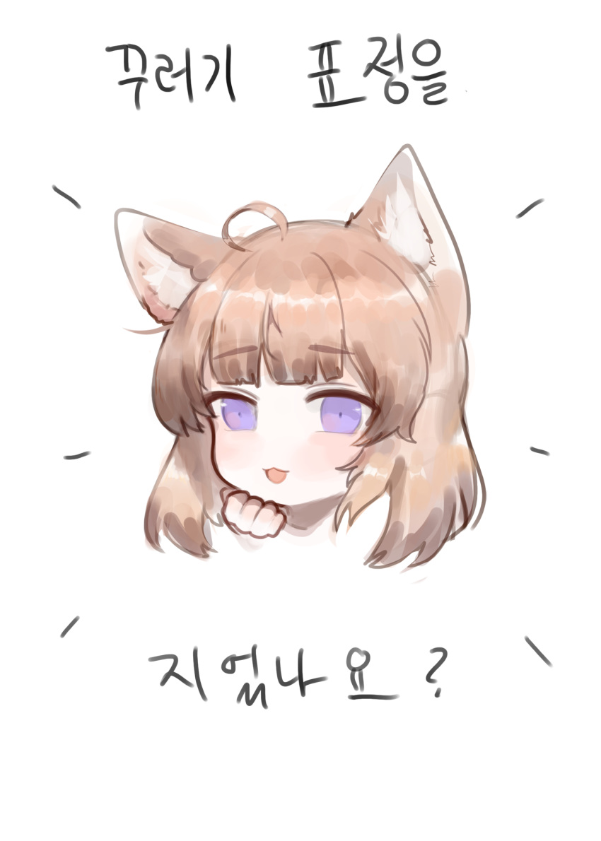 1girl :3 :d ahoge animal_ear_fluff animal_ears bangs blush brown_hair commentary_request dokomon eyebrows_visible_through_hair hand_up head highres korean_commentary korean_text looking_at_viewer open_mouth original simple_background smile solo translation_request violet_eyes white_background