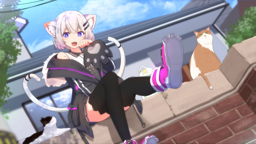 :d animal_ears black_jacket black_legwear bobcut cat cat_ears cat_tail claw_pose copyright_request cuon_(kuon) dutch_angle eyebrows_visible_through_hair from_below hair_ornament hairclip highres jacket looking_at_viewer murasaki_yuki open_mouth pink_footwear shirt shoes short_hair sleeveless sleeveless_shirt smile sneakers soles tail thigh-highs violet_eyes virtual_youtuber white_hair white_shirt
