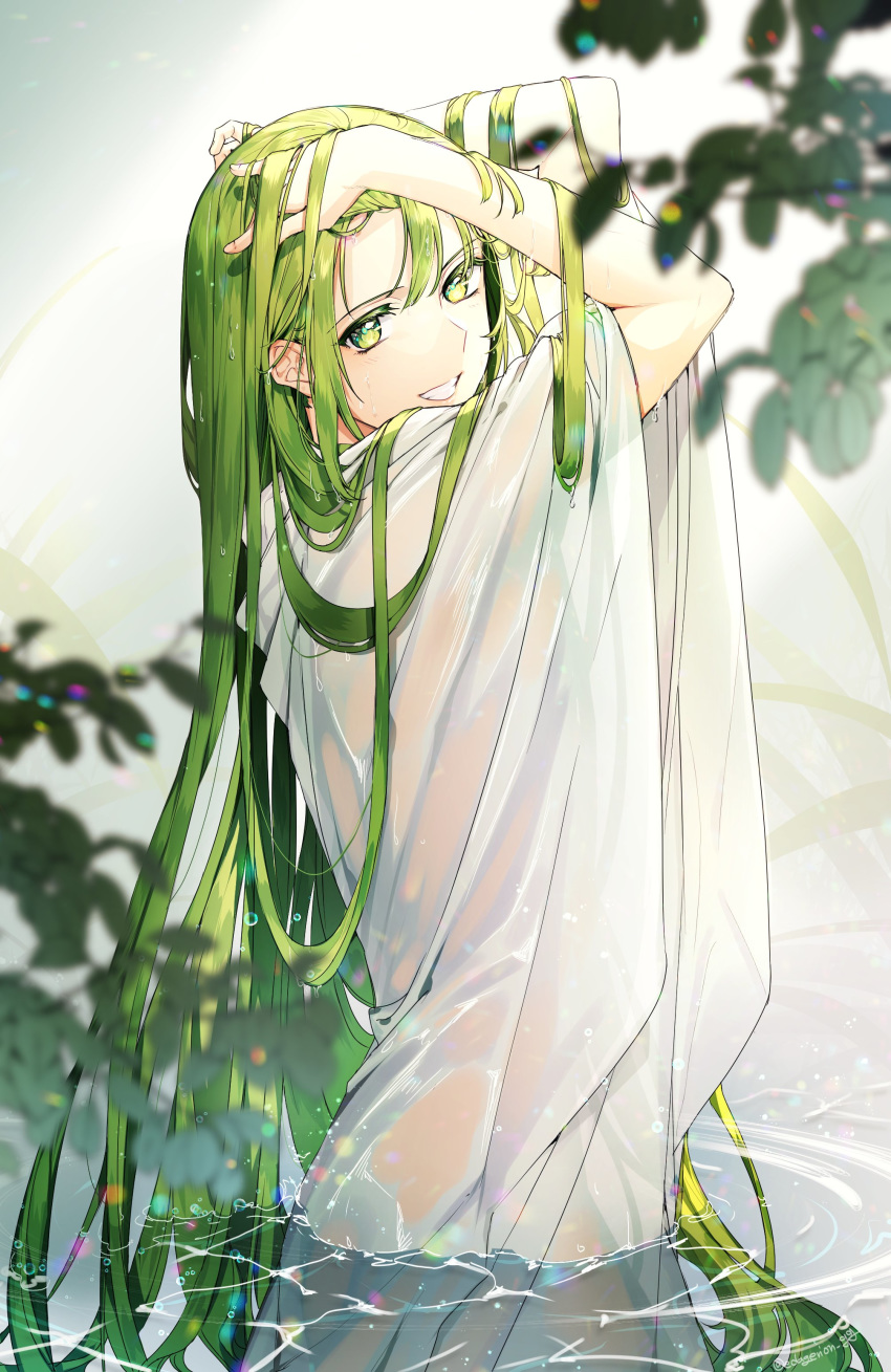 absurdres androgynous blurry depth_of_field edagerion enkidu_(fate/strange_fake) fate_(series) green_eyes green_hair grin hands_in_hair highres looking_at_viewer robe see-through smile solo water wet wet_clothes wet_hair