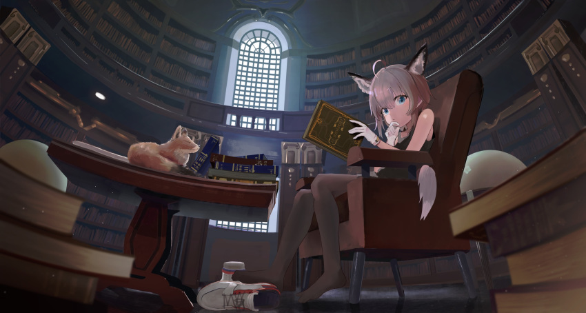 1girl animal animal_ears antenna_hair arknights bare_shoulders blue_eyes book commentary_request fox fox_ears fox_girl fox_tail gloves grey_hair highres holding holding_book indoors library looking_at_viewer medic pantyhose radio1985head shoes shoes_removed solo_focus sussurro_(arknights) tail white_gloves window