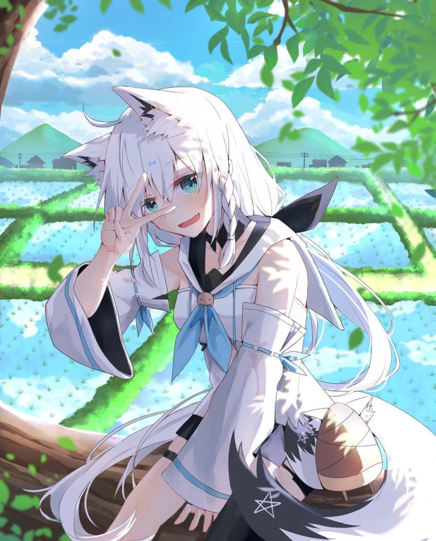 1girl ahoge animal_ear_fluff animal_ears bamboo_shoot black_legwear black_shorts blue_eyes blue_sky blush braid breasts clouds cloudy_sky commentary cowboy_shot day detached_sleeves eyebrows_visible_through_hair fang fox_ears fox_tail hair_between_eyes highres hololive in_tree long_hair looking_at_viewer medium_breasts mountain open_mouth oruyanke_(fubuki_channel) outdoors ponytail rice_paddy shirakami_fubuki short_shorts shorts side_braid single_thighhigh sitting sitting_in_tree sky smile solo tail telephone_pole thigh-highs thigh_strap tree v v_over_eye virtual_youtuber white_hair white_hoodie wstckhl