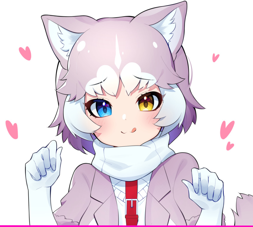 1girl :3 animal_ears blue_eyes blush closed_mouth dog_(mixed_breed)_(kemono_friends) dog_ears dog_tail elbow_gloves eyebrows_visible_through_hair gloves grey_hair heart heterochromia highres kemono_friends looking_at_viewer multicolored_hair short_hair short_sleeves smile solo tail takosuke0624 tongue tongue_out two-tone_hair upper_body white_gloves white_hair yellow_eyes