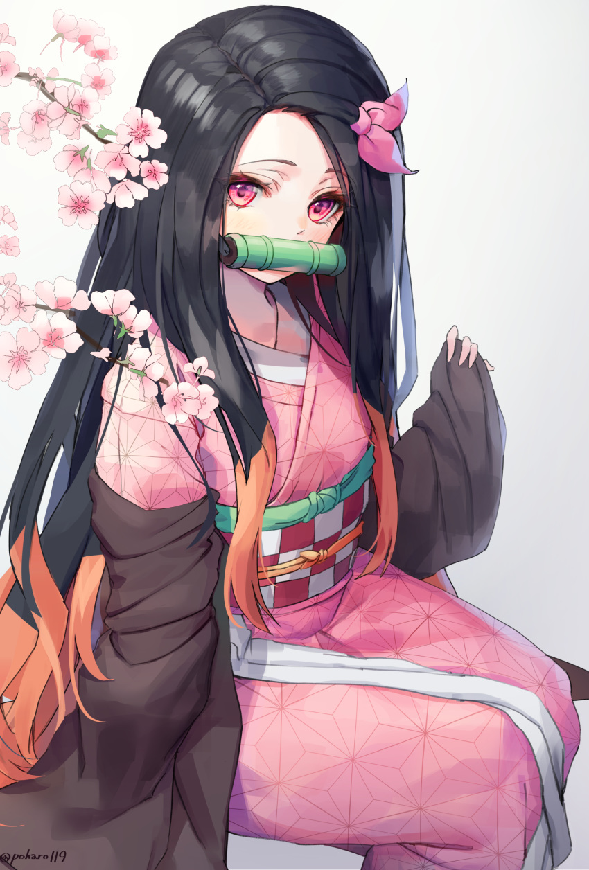1girl absurdres bamboo bangs bit_gag black_hair brown_eyes checkered commentary_request eyebrows_visible_through_hair flower gag grey_background hair_ribbon hand_up highres japanese_clothes kamado_nezuko kimetsu_no_yaiba kimono long_hair long_sleeves looking_at_viewer mouth_hold multicolored_hair obi off_shoulder open_clothes parted_bangs pinching_sleeves pink_flower pink_kimono pink_ribbon poharo red_eyes ribbon sash simple_background sitting sleeves_past_wrists solo tree_branch twitter_username two-tone_hair very_long_hair wide_sleeves