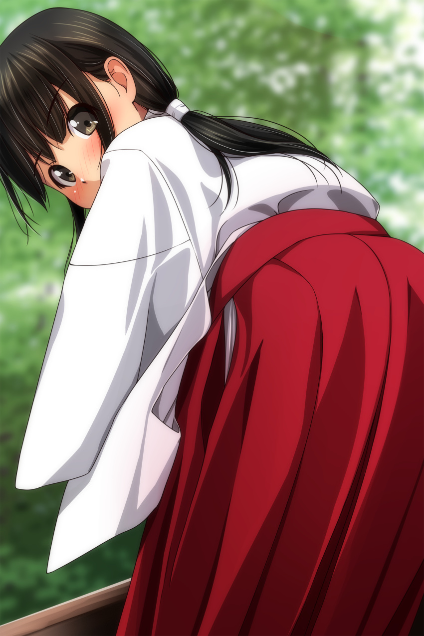 1girl absurdres bangs black_hair blurry blurry_background blush brown_eyes covered_mouth day depth_of_field eyebrows_visible_through_hair hakama highres japanese_clothes kimono leaning_forward long_hair long_sleeves looking_at_viewer looking_back low_twintails matsunaga_kouyou miko nose_blush original outdoors red_hakama solo standing twintails white_kimono