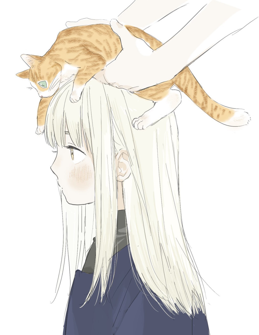 1girl animal animal_on_head bangs blonde_hair blush cat cat_on_head child dungeon_meshi falin_thorden from_side frs2 highres holding holding_animal long_hair on_head out_of_frame profile sidelocks solo_focus yellow_eyes younger