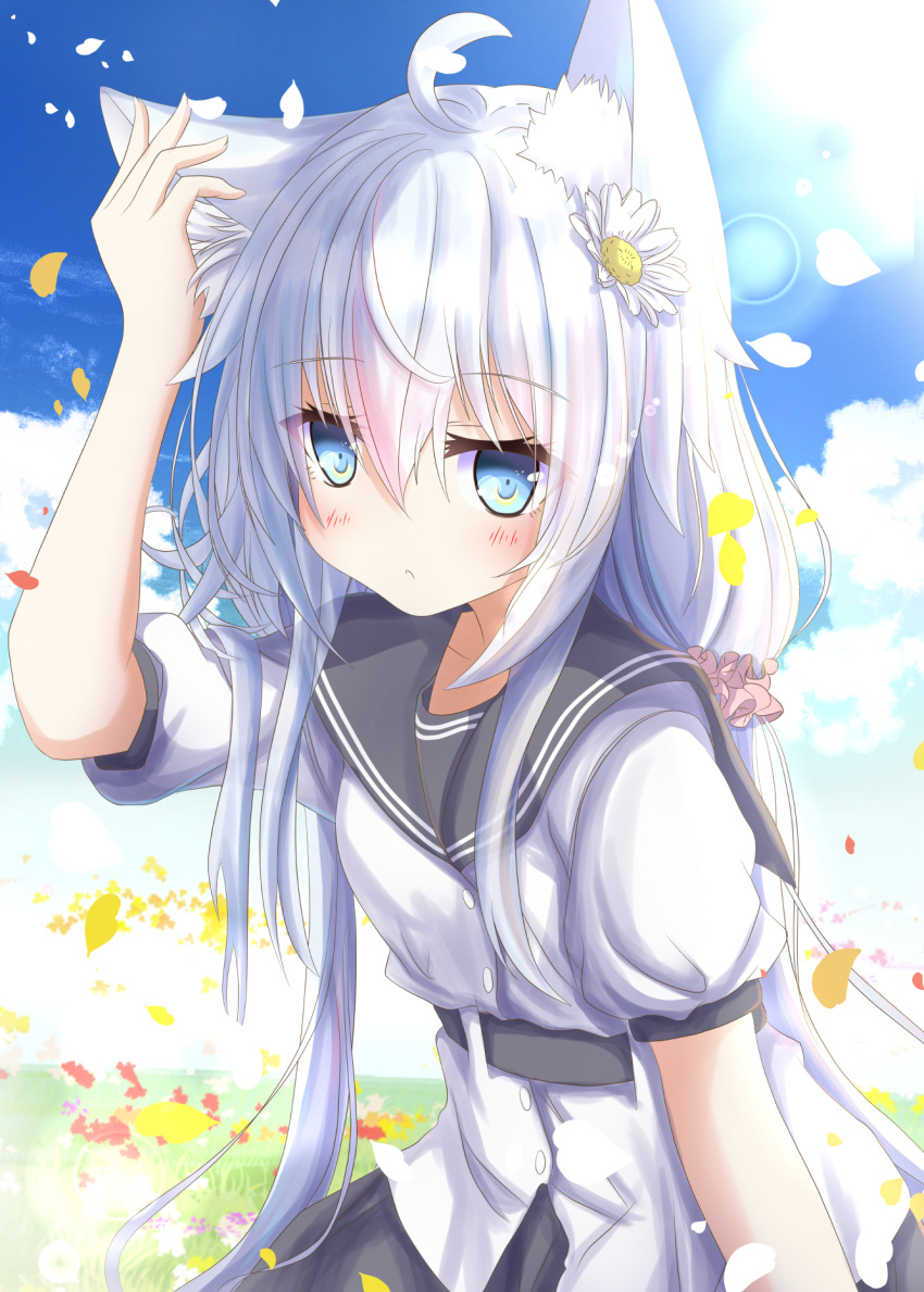 1girl adapted_costume animal_ears aruka_(alka_p1) black_sailor_collar black_skirt blue_eyes blush buttons cat_ears closed_mouth clouds day eyebrows_visible_through_hair flower hair_between_eyes hair_flower hair_ornament hibiki_(kantai_collection) highres kantai_collection kemonomimi_mode long_hair looking_at_viewer no_hat no_headwear petals pleated_skirt sailor_collar sailor_shirt shirt short_sleeves silver_hair skirt sky solo verniy_(kantai_collection) white_flower