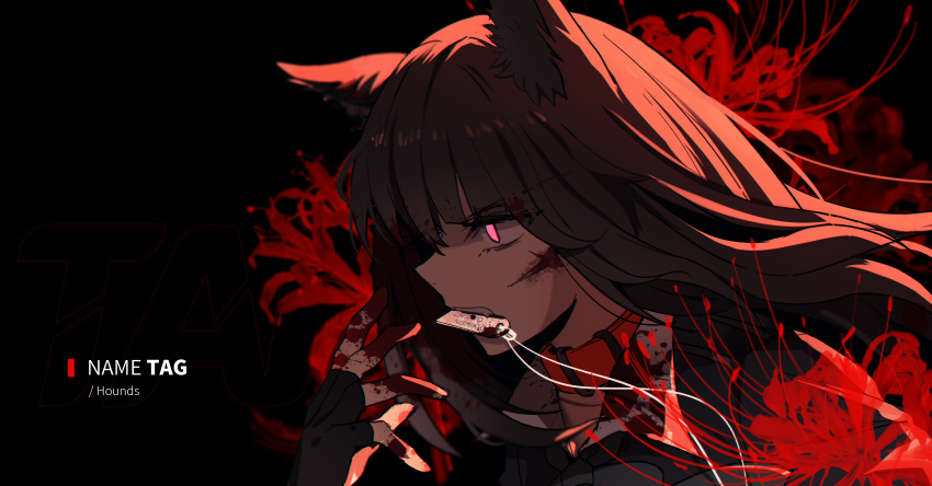 1girl absurdres animal_ears black_background black_hair blood character_name collar dog_tags fangs fingerless_gloves flower gloves highres inoue_takina kemonomimi_mode long_hair lycoris_recoil mouth_hold pink_eyes scar simple_background solo spider_lily wolf_ears yufeng_kaete