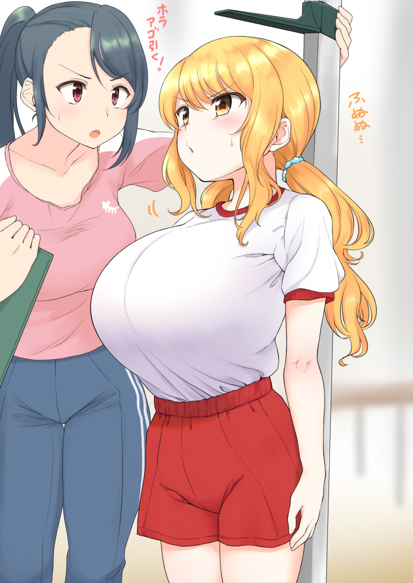 2girls arms_at_sides black_hair blush breasts clipboard commentary_request eyebrows_visible_through_hair gym_uniform hair_tie height_rod highres holding holding_clipboard huge_breasts measuring multiple_girls open_mouth orange_eyes orange_hair original pink_shirt ponytail red_eyes red_shorts shiny shiny_hair shirt shirt_tucked_in short_sleeves shorts standing sweatdrop tented_shirt tied_hair tongue white_shirt yue_(show-ei)