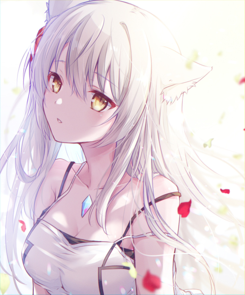 1girl animal_ear_fluff animal_ears bare_shoulders breasts cat_ears chest_jewel collarbone commentary_request core_crystal_(xenoblade) floating_hair grey_hair hair_between_eyes highres long_hair looking_at_viewer medium_breasts mio_(xenoblade) petals shirt sleeveless sleeveless_shirt solo ui_frara very_long_hair white_shirt xenoblade_chronicles_(series) xenoblade_chronicles_3 yellow_eyes