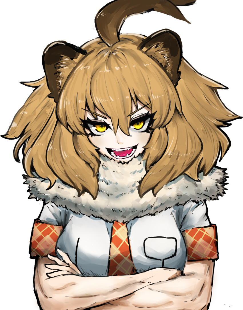 1girl :d adeshi_(adeshi0693119) ahoge animal_ears bangs blonde_hair breast_pocket commentary_request crossed_arms eyebrows_visible_through_hair fangs fur_collar highres kemono_friends lion_(kemono_friends) lion_ears lion_girl looking_at_viewer muscle muscular_female necktie open_mouth plaid_neckwear plaid_trim pocket red_neckwear sharp_teeth shirt short_hair short_sleeves sidelocks smile solo teeth tsurime upper_body v-shaped_eyebrows white_background white_shirt yellow_eyes