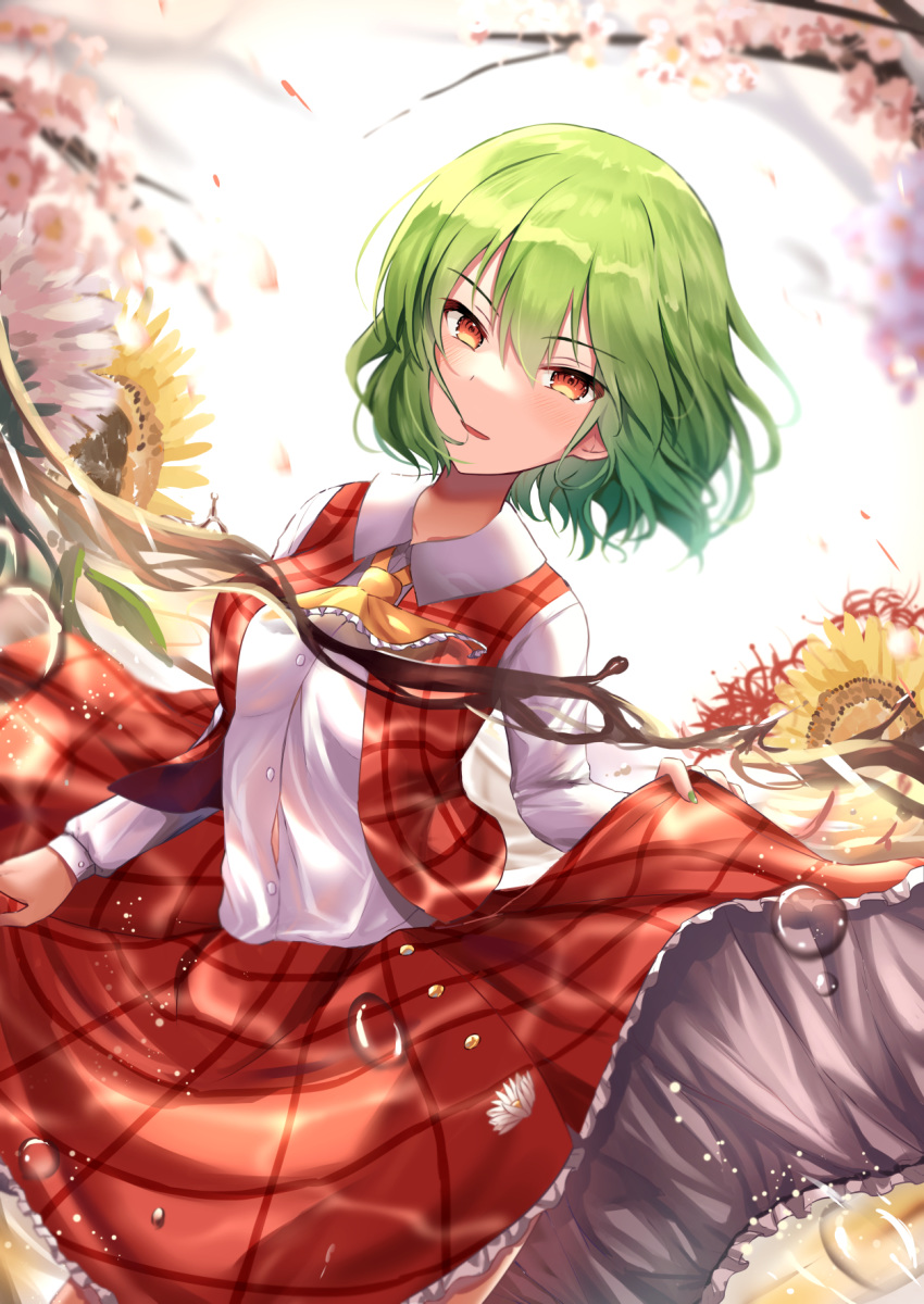 1girl blurry blurry_background cherry_blossoms commentary_request cravat day eyebrows_visible_through_hair floating_hair flower green_hair hair_between_eyes highres kazami_yuuka kkkk12103 leaning_to_the_side lifted_by_self long_skirt long_sleeves open_clothes open_vest outdoors parted_lips petticoat plaid plaid_skirt plaid_vest red_eyes shirt short_hair skirt skirt_hold skirt_lift solo sunflower touhou tree_branch vest water_drop white_shirt yellow_neckwear