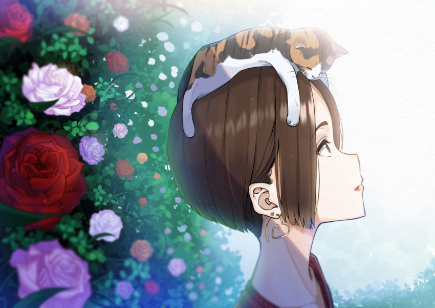 1girl animal_on_head brown_eyes brown_hair cat cat_on_head collarbone commentary_request earrings eyebrows_visible_through_hair flower heart heart_earrings highres jewelry looking_up on_head original portrait profile red_flower red_rose rose shadow shiny shiny_hair short_hair zumi6