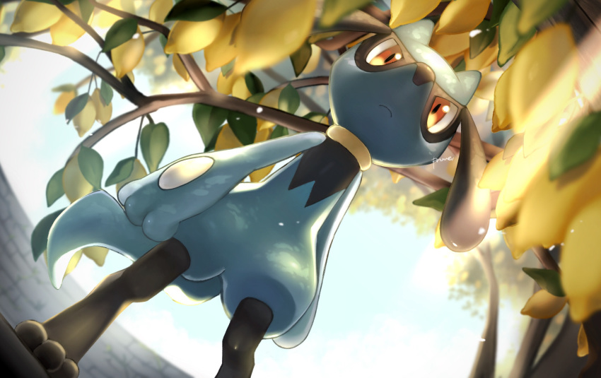 artist_name blurry branch closed_mouth commentary_request day depth_of_field food from_below fruit gen_4_pokemon highres leaf lemon light_frown no_humans pokemon pokemon_(creature) prune red_eyes riolu sky standing toes watermark