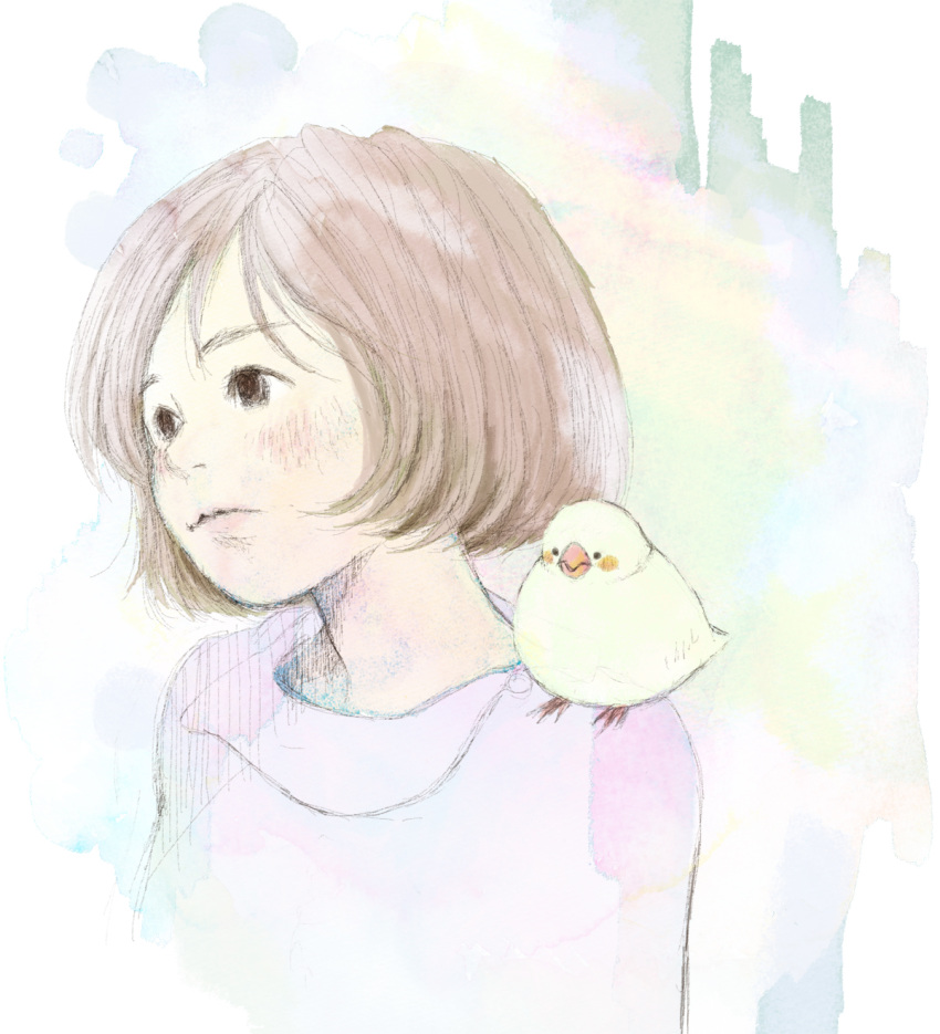 1girl animal_on_shoulder bird bird_on_shoulder blush brown_hair colored_pencil_(medium) ecottyo highres looking_to_the_side original short_hair simple_background solo traditional_media upper_body