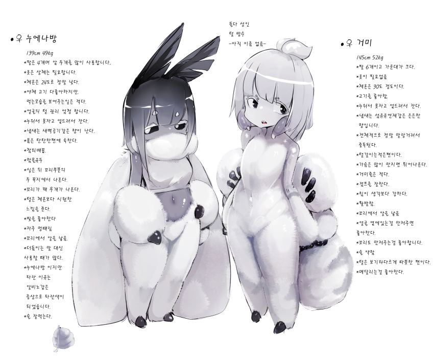 2girls absurdres black_sclera character_name character_sheet diddms1999 full_body fur highres insect_girl insect_wings korean_text monster_girl moth_(diddms1999) moth_ears moth_girl moth_wings multiple_girls original short_eyebrows spider_(diddms1999) white_eyes wings