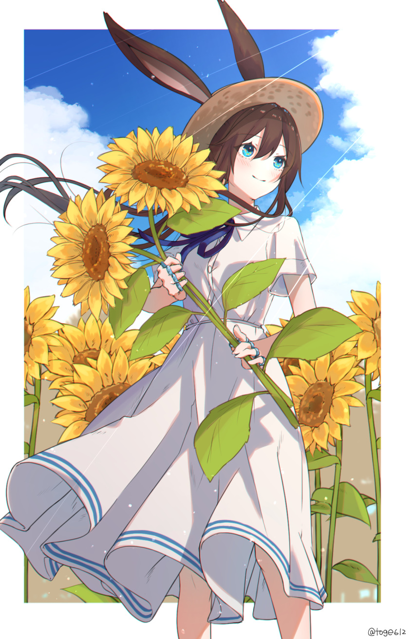 1girl alternate_costume amiya_(arknights) amopui animal_ears arknights blue_eyes blue_neckwear blue_sky blush breasts casual closed_mouth clouds cloudy_sky commentary cowboy_shot day dress eyebrows_visible_through_hair flower hair_between_eyes hat highres holding holding_flower jewelry light_rays long_hair multiple_rings neck_ribbon outdoors outside_border ponytail rabbit_ears ribbon ring short_sleeves sky small_breasts smile solo straw_hat sunflower sunlight twitter_username white_dress wind