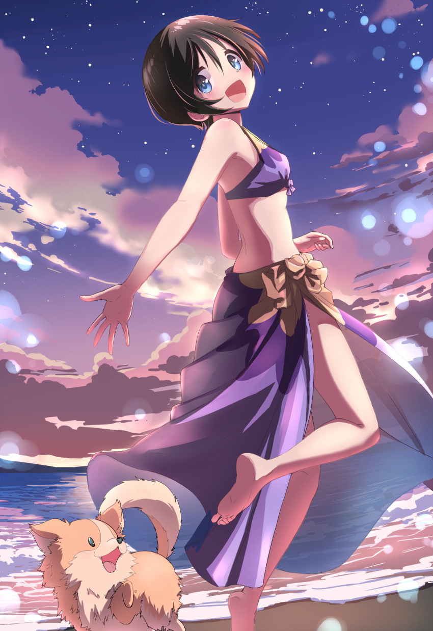 1girl :d absurdres animal barefoot beach bikini black_hair blue_eyes chihuahua chikuwa_(yurucamp) clouds commentary dog highres leg_lift n2midori ocean open_mouth outdoors saitou_ena sarong short_hair sky smile star_(sky) swimsuit twilight yurucamp