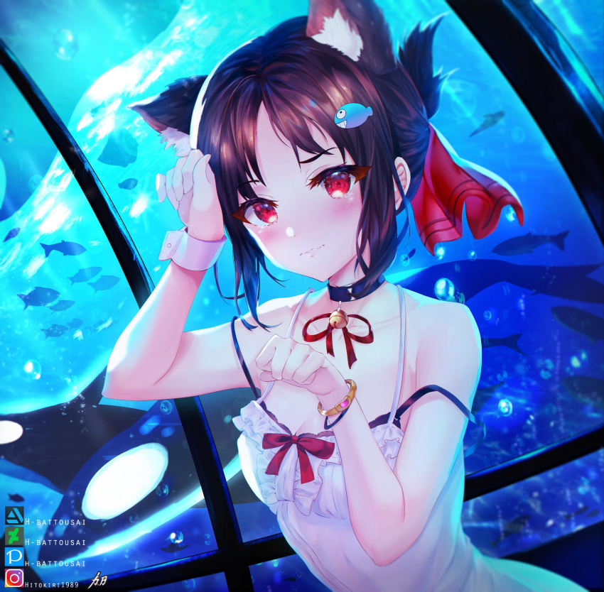 1girl alternate_costume animal_ear_fluff animal_ears artist_name bangs bare_arms bare_shoulders black_bra black_choker black_hair blush bra breasts cat_ears choker collarbone commentary deviantart_username dress fish fish_hair_ornament hair_ornament hair_ribbon highres hitokiri_battousai instagram_username kaguya-sama_wa_kokurasetai_~tensai-tachi_no_renai_zunousen~ looking_at_viewer medium_breasts orca parted_bangs pixiv_username red_eyes red_ribbon ribbon shinomiya_kaguya solo tearing_up underwear wavy_mouth white_dress wrist_cuffs