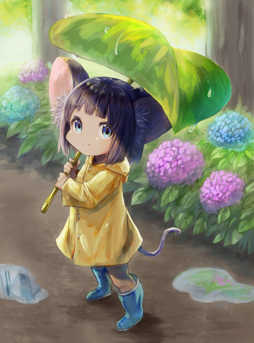 1girl animal_ears bangs blue_eyes boots degi0833 flower highres hydrangea leaf leaf_umbrella looking_at_viewer mouse_ears mouse_girl mouse_tail original purple_hair rain raincoat rubber_boots short_hair smile solo tail umbrella