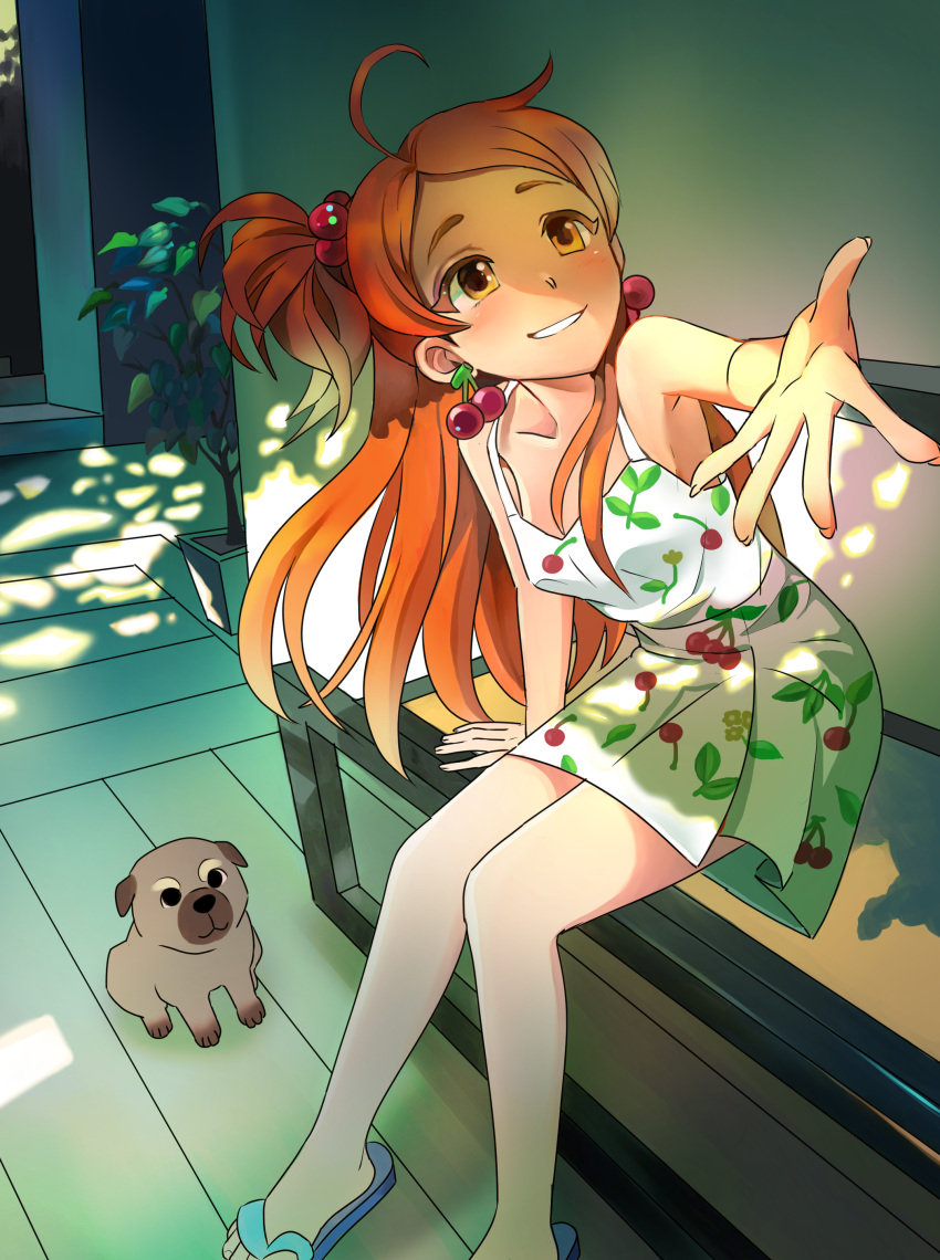 1girl absurdres ahoge bench brown_eyes cherry_earrings cherry_print dappled_sunlight dog dress earrings food_print food_themed_earrings hair_bobbles hair_ornament highres idolmaster idolmaster_million_live! idolmaster_million_live!_theater_days jewelry long_hair looking_at_viewer moomari oogami_tamaki outdoors outstretched_hand plant potted_plant sandals side_ponytail sitting smile solo sunlight white_dress