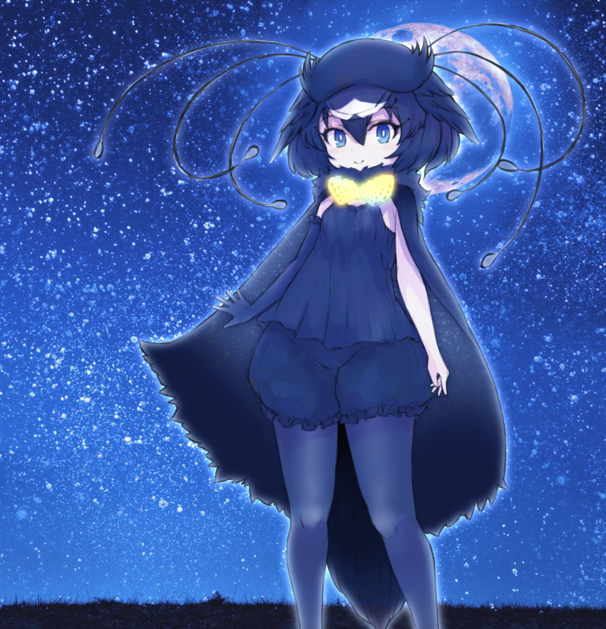 1girl black_gloves black_hair black_legwear blue_eyes character_request closed_mouth elbow_gloves eyebrows_visible_through_hair gloves hair_between_eyes highres kemono_friends kolshica looking_at_viewer messy_hair multicolored_hair night night_sky pantyhose short_hair single_glove sky smile solo star_(sky) starry_sky two-tone_hair white_hair