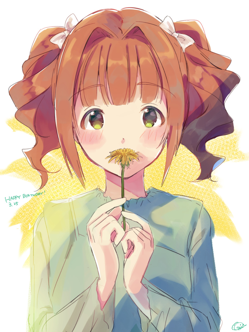 1girl bangs blunt_bangs bow brown_hair commentary_request flower flower_to_mouth hair_bow highres idolmaster kuzuya_ramurin long_sleeves looking_at_viewer short_hair solo takatsuki_yayoi twintails upper_body white_bow yellow_eyes