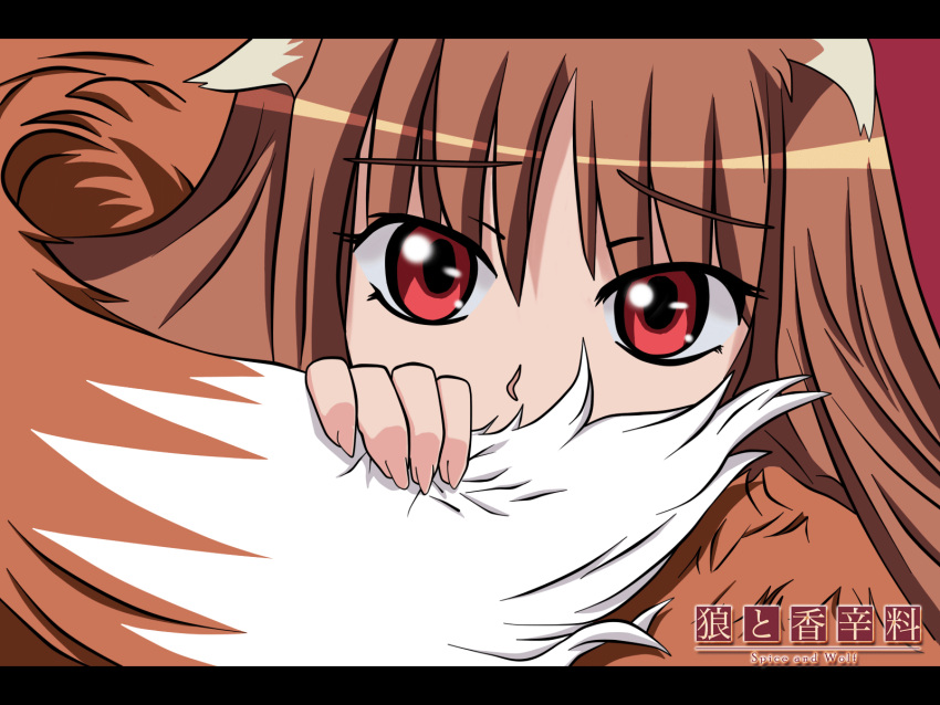 holding_tail holo spice_and_wolf tagme tail