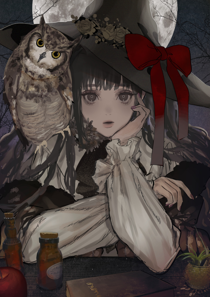 1girl animal apple bird black_hair book bottle bow cork flower food fruit grey_eyes hand_on_own_face hat hat_bow hat_flower head_tilt highres long_hair long_sleeves looking_at_viewer moon nail_polish night night_sky original owl parted_lips plant potted_plant red_bow rose sankomichi shirt sky table tree upper_body white_shirt witch witch_hat yellow_eyes