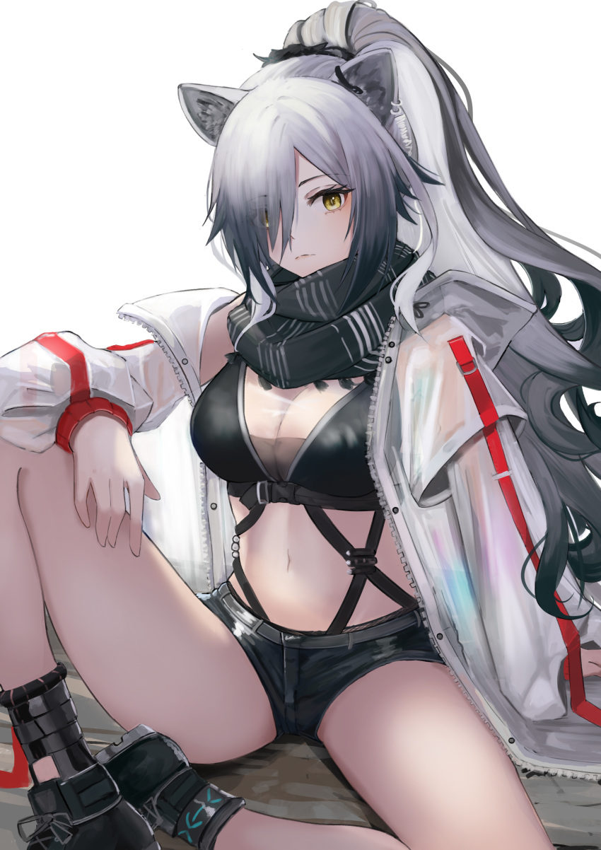 1girl absurdres animal_ears arknights bangs black_footwear black_scarf black_shorts breasts cat_ears commentary crop_top eyebrows_visible_through_hair hair_over_one_eye highres jacket knee_up kuguiema large_breasts long_hair long_sleeves looking_at_viewer midriff navel open_clothes open_jacket scarf schwarz_(arknights) shoes short_shorts shorts silver_hair simple_background sitting solo stomach thighs very_long_hair white_background white_jacket yellow_eyes