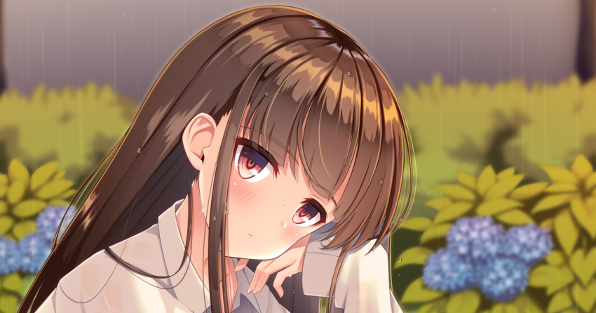 1girl bangs blue_flower blurry blurry_background blush brown_hair closed_mouth collared_shirt commentary_request depth_of_field eyebrows_visible_through_hair flower hand_up hydrangea long_sleeves looking_at_viewer mijinko_(rioriorio) original rain red_eyes shirt sleeves_past_wrists solo upper_body wet wet_hair white_shirt