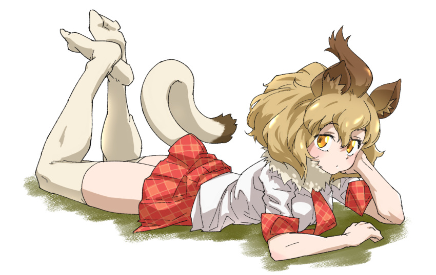 1girl animal_ear_fluff animal_ears bangs blonde_hair brown_hair elbow_rest feet_up full_body fur_collar hair_between_eyes highres kemono_friends lion_(kemono_friends) lion_ears lion_tail looking_at_viewer lying multicolored_hair necktie no_shoes on_stomach orange_eyes plaid plaid_neckwear plaid_skirt plaid_trim shirt short_hair short_sleeves simple_background skirt solo tail tanabe_(fueisei) the_pose thigh-highs two-tone_hair white_background white_legwear white_shirt
