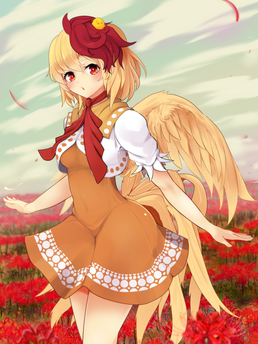 1girl animal animal_on_head bird bird_wings blonde_hair breasts chick dress feathered_wings flower highres looking_at_viewer medium_breasts medium_hair multicolored_hair nama_shirasu niwatari_kutaka on_head orange_dress outdoors puffy_short_sleeves puffy_sleeves red_eyes red_flower red_neckwear redhead shirt short_hair short_sleeves solo spider_lily standing touhou two-tone_hair white_shirt wings