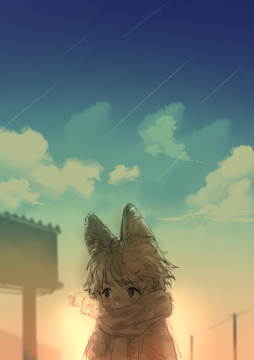 1boy absurdres animal_ear_fluff animal_ears billboard black_eyes blurry blurry_background blush breath clouds cloudy_sky covered_mouth devil_lo falling_star grey_hair highres male_focus meteor_shower original outdoors power_lines scarf sketch sky solo